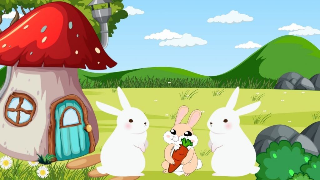 Tavşan Pamuk’un Masalı Tavşan Pamuk’un Masalı