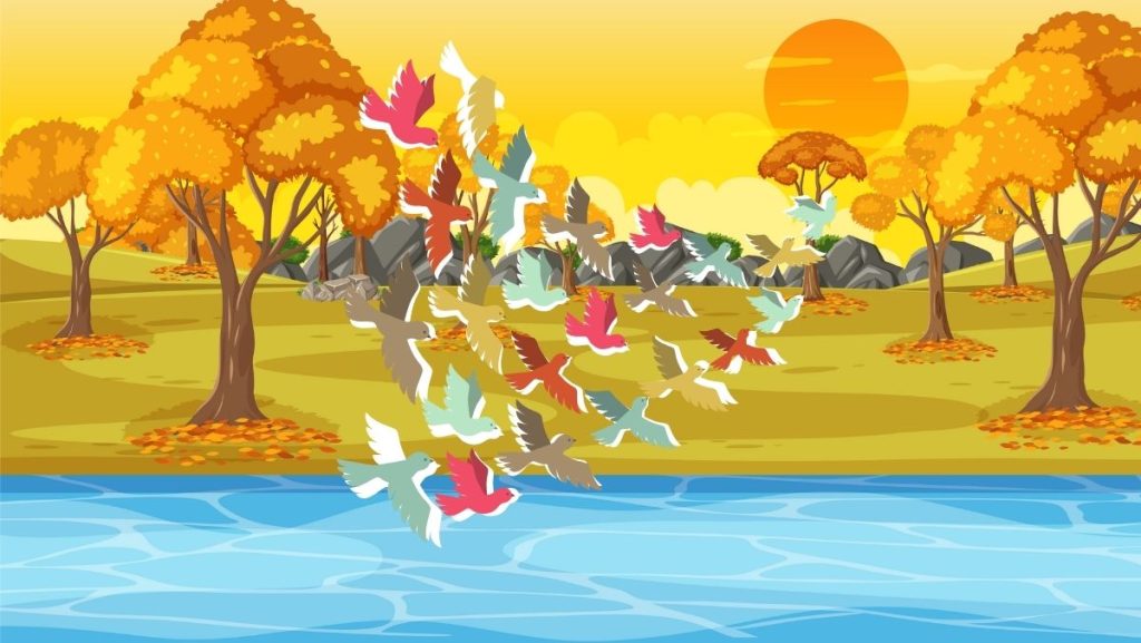 Kuşların Göç Masalı